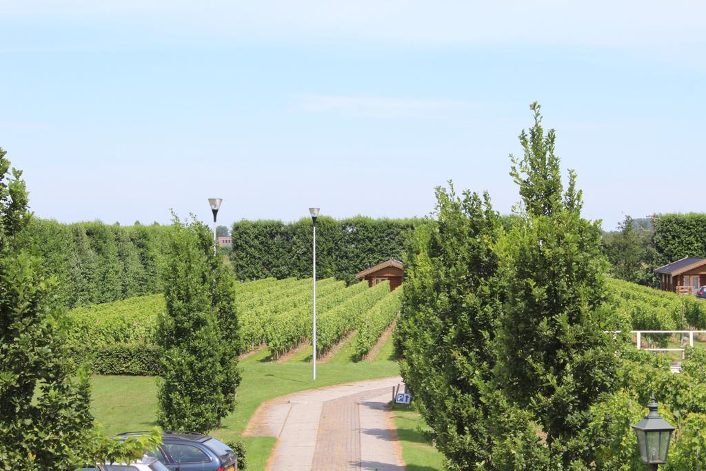 Wijngaard Saalhof Bed & Breakfast Wognum Екстериор снимка