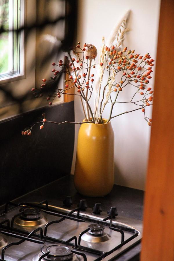 Wijngaard Saalhof Bed & Breakfast Wognum Екстериор снимка